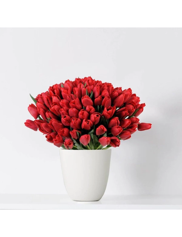 Buchet 101 lalele rosii 