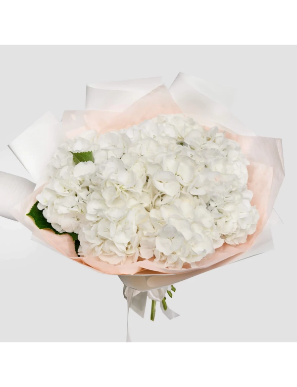 Buchet cu 11 hortensii albe
